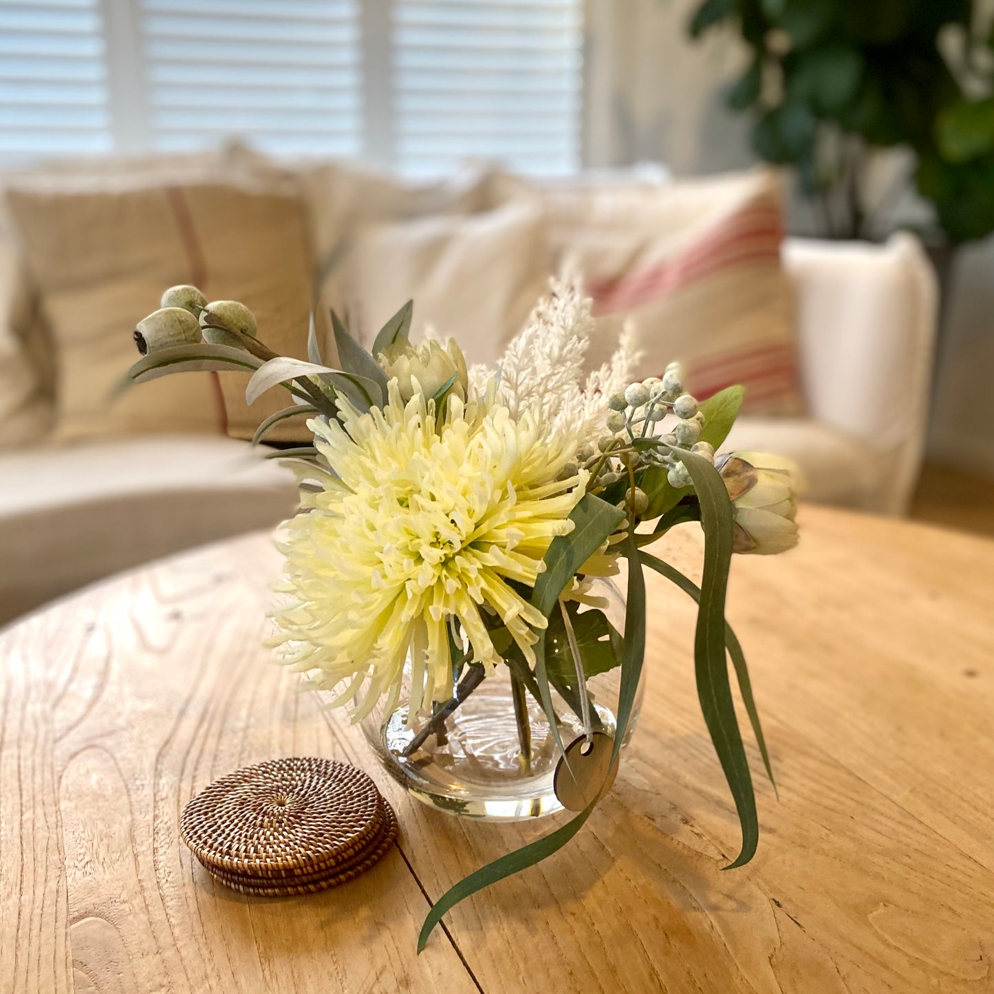 The Little Neutral Natives: Charming Native Arrangements for Your Space