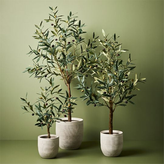 The Grand Olive Tree: Bring the Outdoors In with Stunning and Realistic Olive Trees