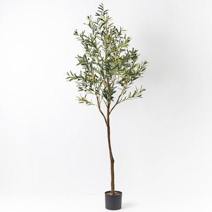 The Grand Olive Tree: Bring the Outdoors In with Stunning and Realistic Olive Trees