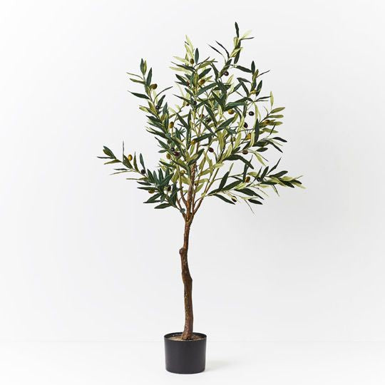 The Large Olive Tree: Bring the Outdoors In with Stunning and Realistic Olive Trees