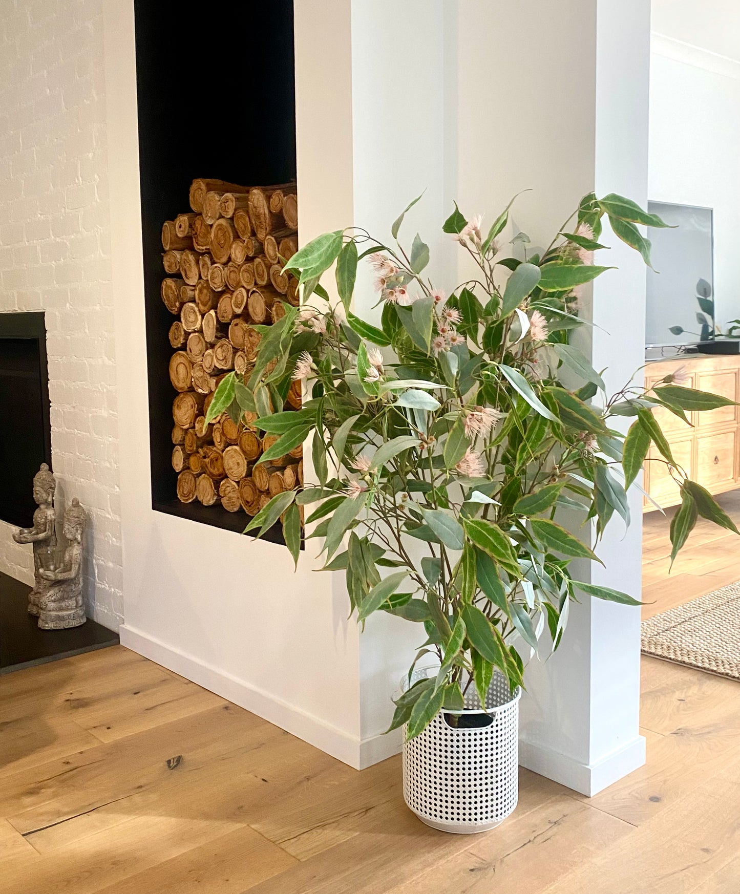 The Flowering Eucalyptus Tree: Hassle-Free Nature for Your Space