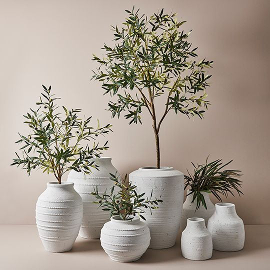 The Large Olive Tree: Bring the Outdoors In with Stunning and Realistic Olive Trees
