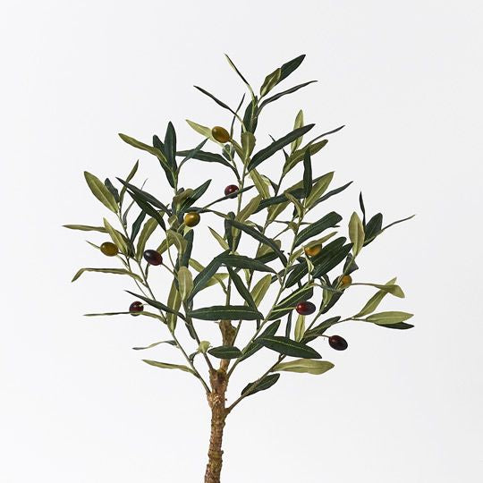 The Medium Olive Tree: Bring the Outdoors In with Stunning and Realistic Olive Trees