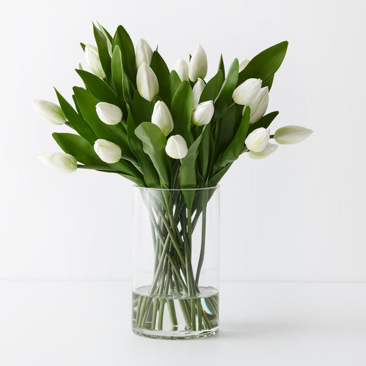 Fresh Touch Classic White Tulips
