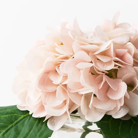 The Little Blush Hydrangea - A Petite and Lifelike Addition to Your Space